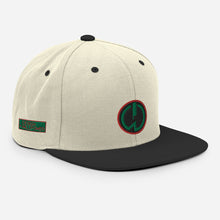 Load image into Gallery viewer, Power Symbol Snapback Hat